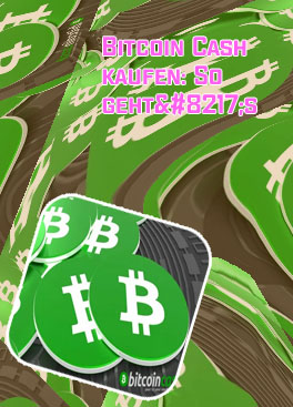 Bitcoin cash empfehlung