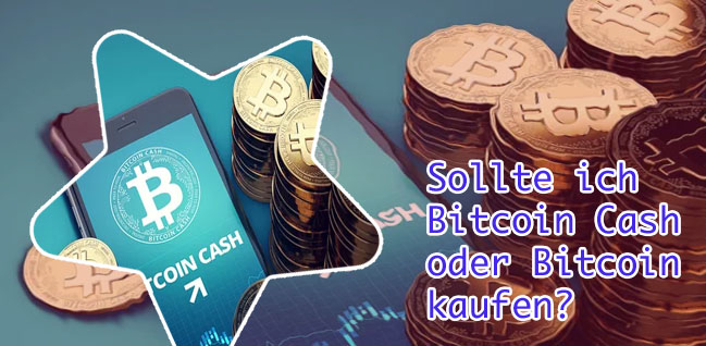 Bitcoin cash preis