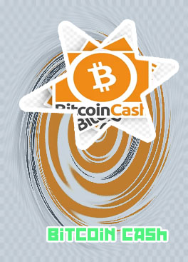 Bitcoin cash wert