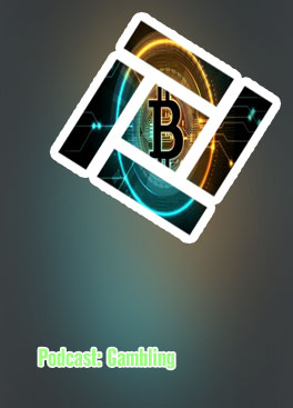 Bitcoin kritik