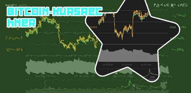 Bitcoin kurs umrechner