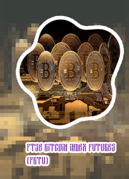 Bitcoin projected value